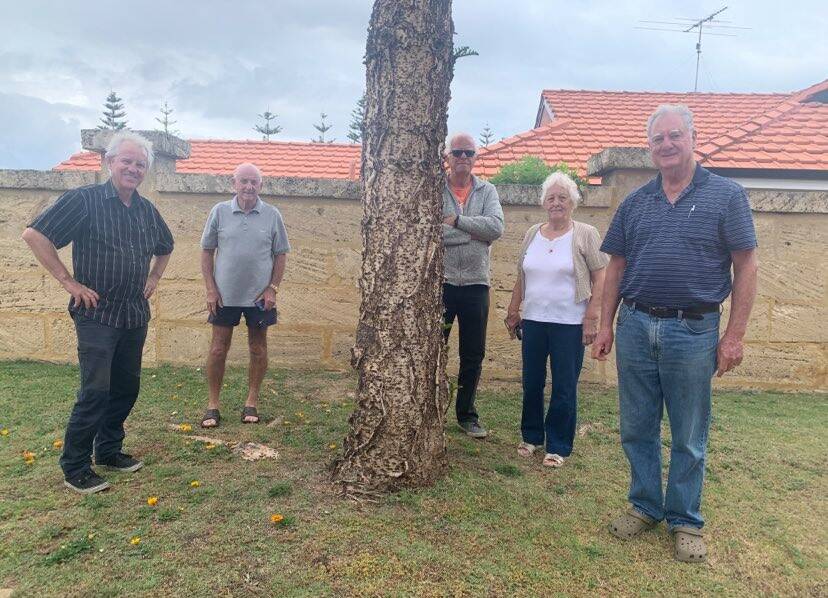 Cox Bay residents aired their frustrations over Norfolk Island pine trees, which have caused damage to their homes. Photos: Claire Sadler.