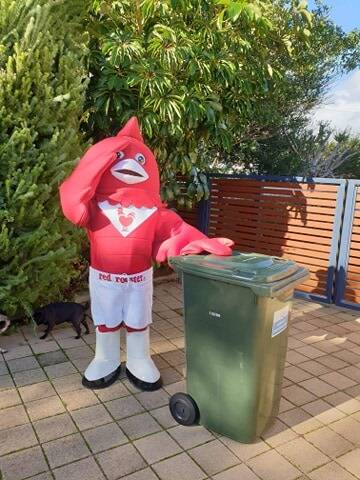 After almost five months of bin isolation outings, Kath Palmer is looking for more costumes to continue the fun tradition. Photo: Supplied.