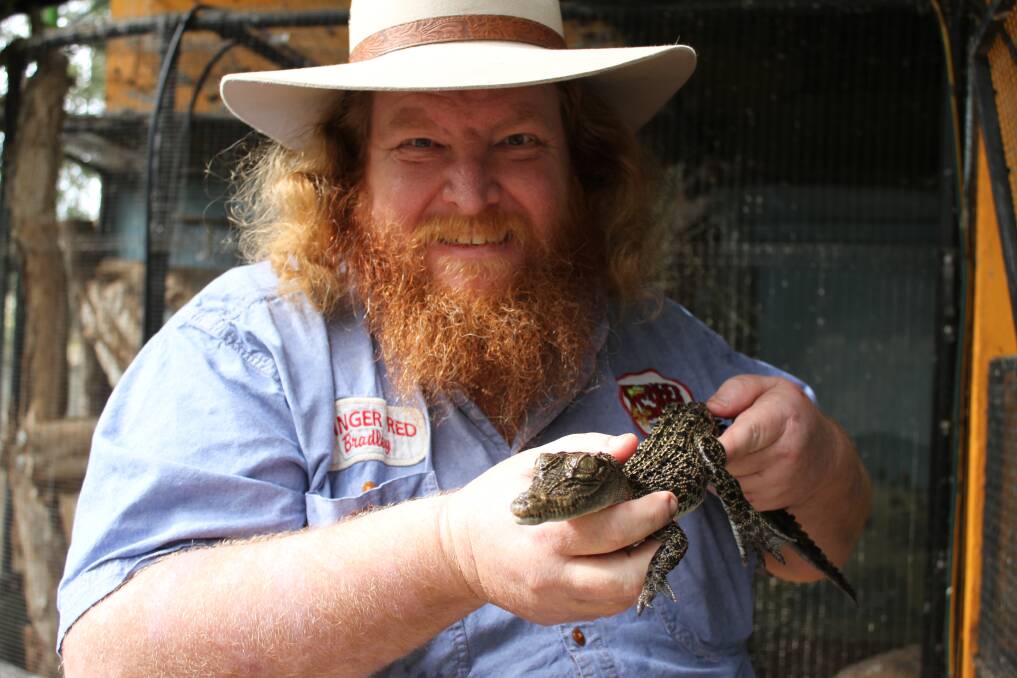 Ranger Red with one of the saltwater crocodiles. Picture: Claire Sadler.
