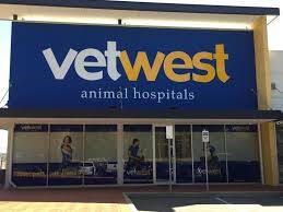 Vetwest and many other businesses are providing extra services to help vulnerable groups during COVID-19.