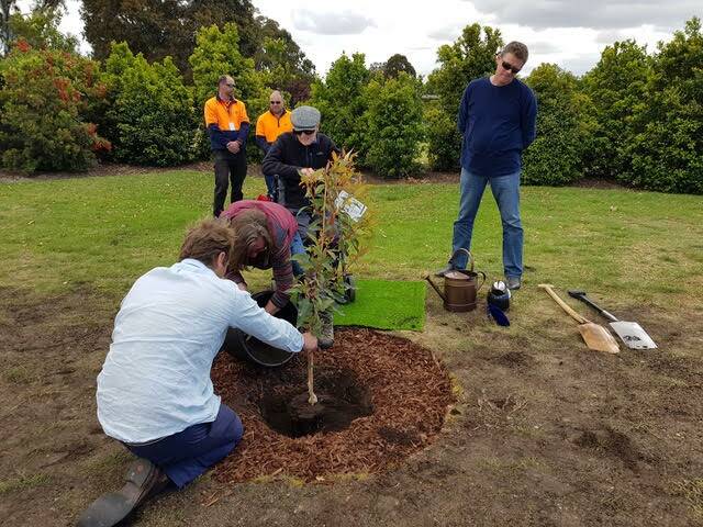 Legacy trees for Bunbury in world first