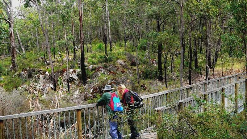 The woman is believed to be possibly walking and camping on the Bibbulmun track. Photo: File Image.