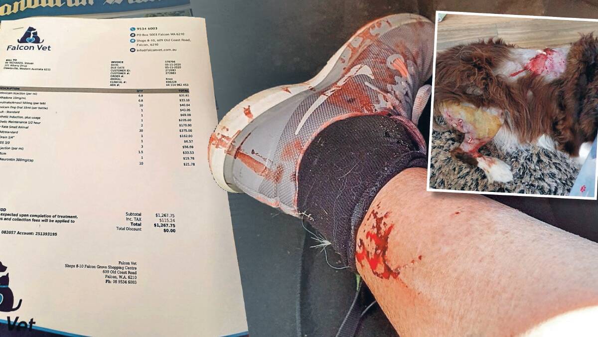 TAKING ACTION: The community is helping to foot the vet bill of border collie, Knox who was attacked while walking with his owner, Bev Harris in Dawesville.