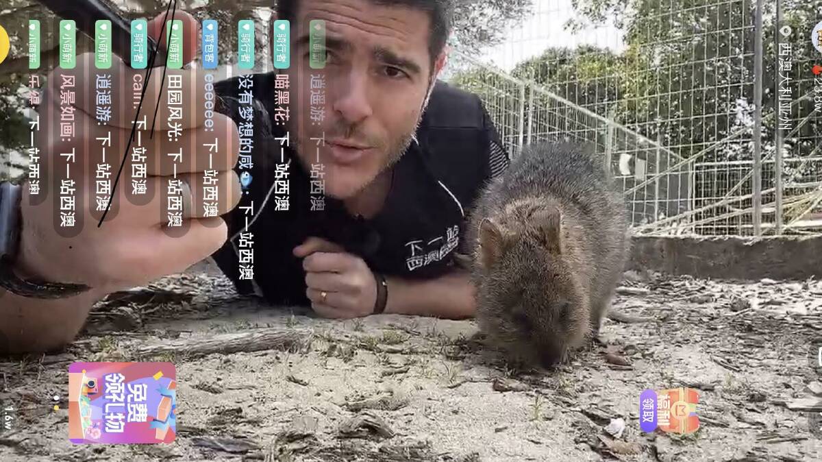 The session before that was Rottnest, where we had around 55,000 Chinese viewers watching us show them how to take Quokka Selfies, riding Segways, looking at glamping accommodation options and more. 