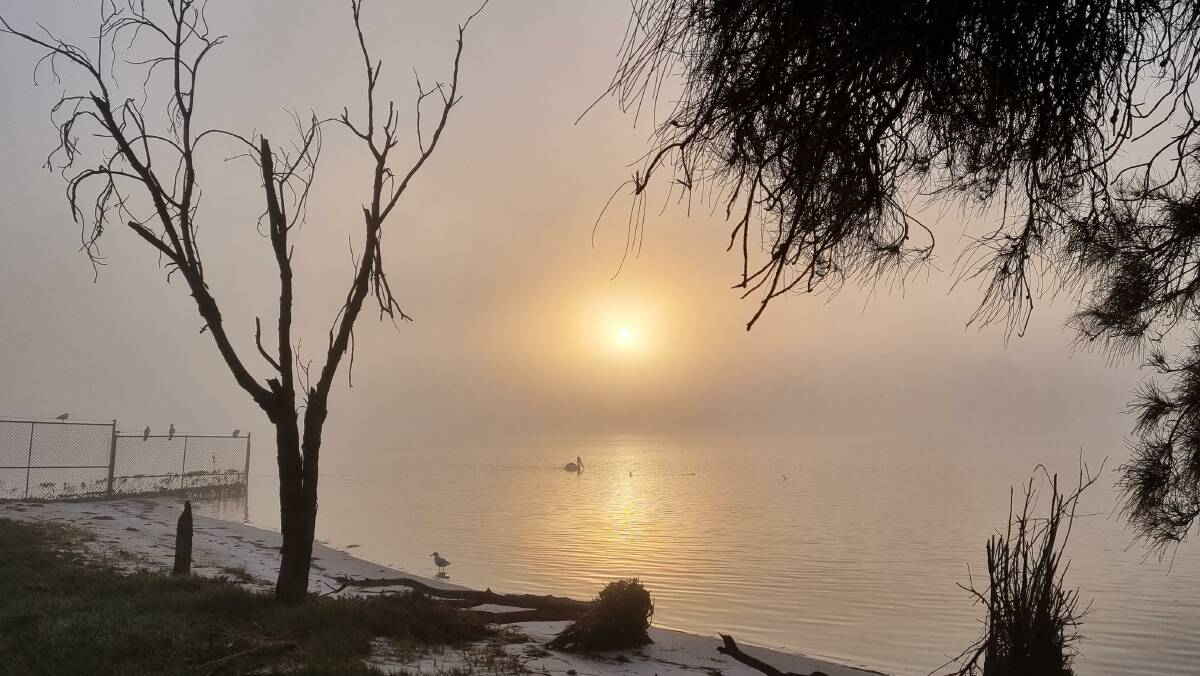 Robert Fey took this photo on a foggy morning in Mandurah. Have you captured the fog recently. Email editor@mandurahmail.com.au 