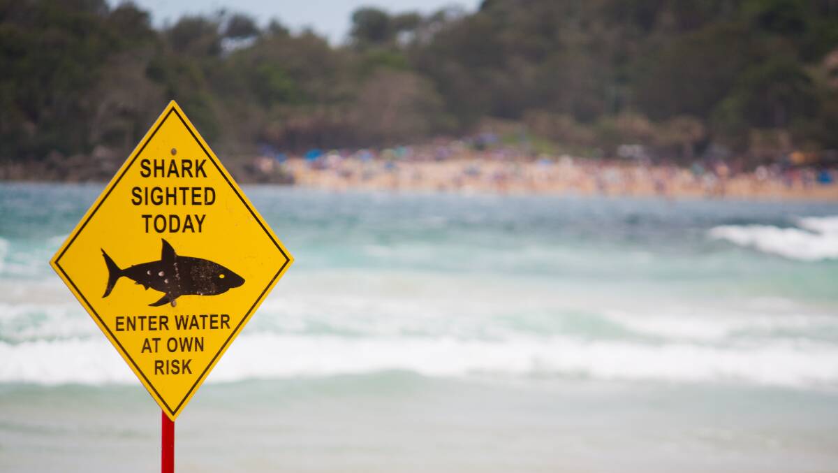 Shark Mitigation: How do we keep swimmers and surfers safe in the water?