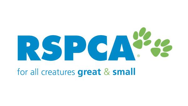 Animal cruelty – RSPCA craving resources