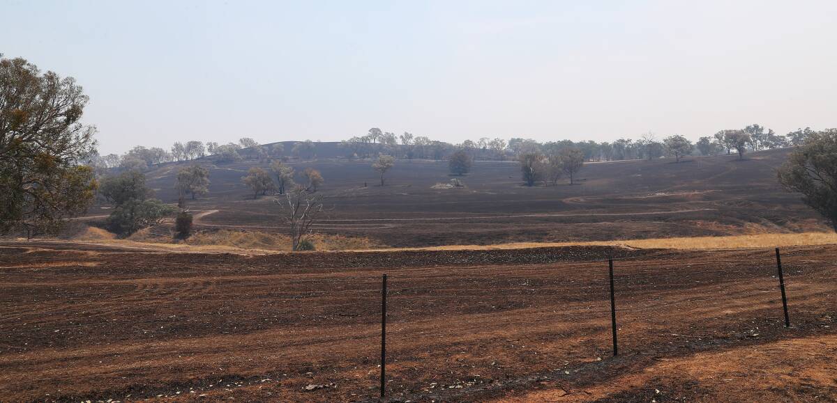 Huge swathes of the region's farmland have been devastated by bushfires.