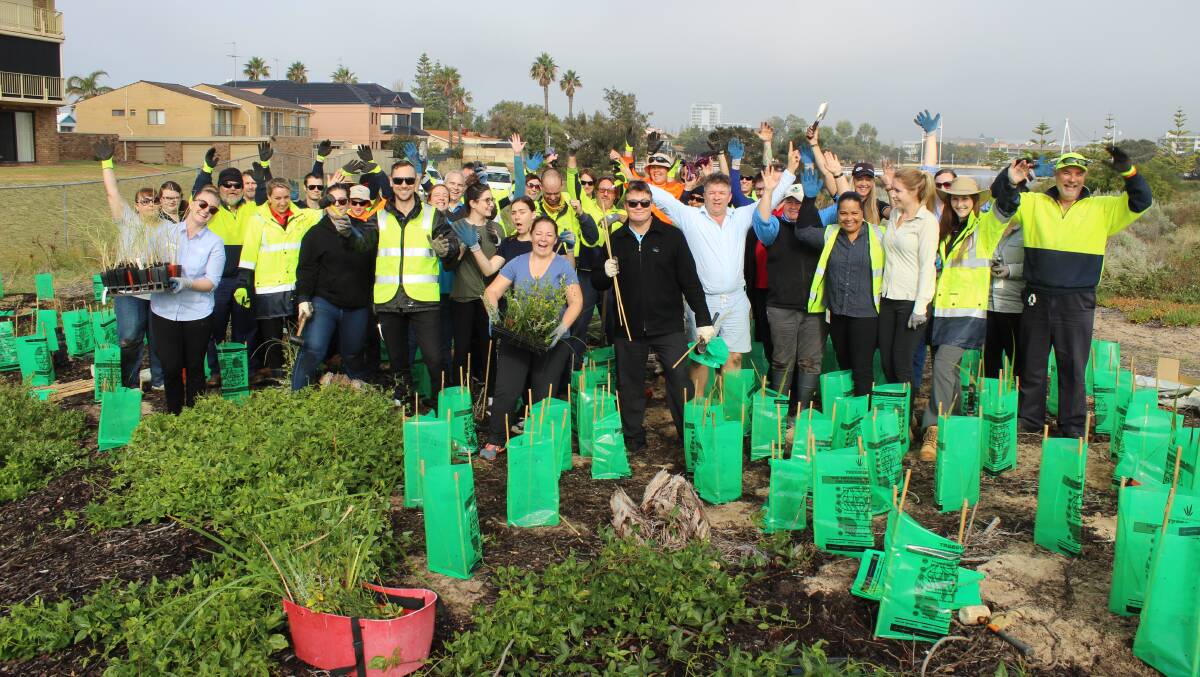 The City of Mandurah staff members planting trees at Town Beach. Photo: supplied. 