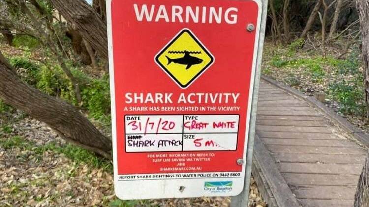 Popular surf spot to receive shark alarm system