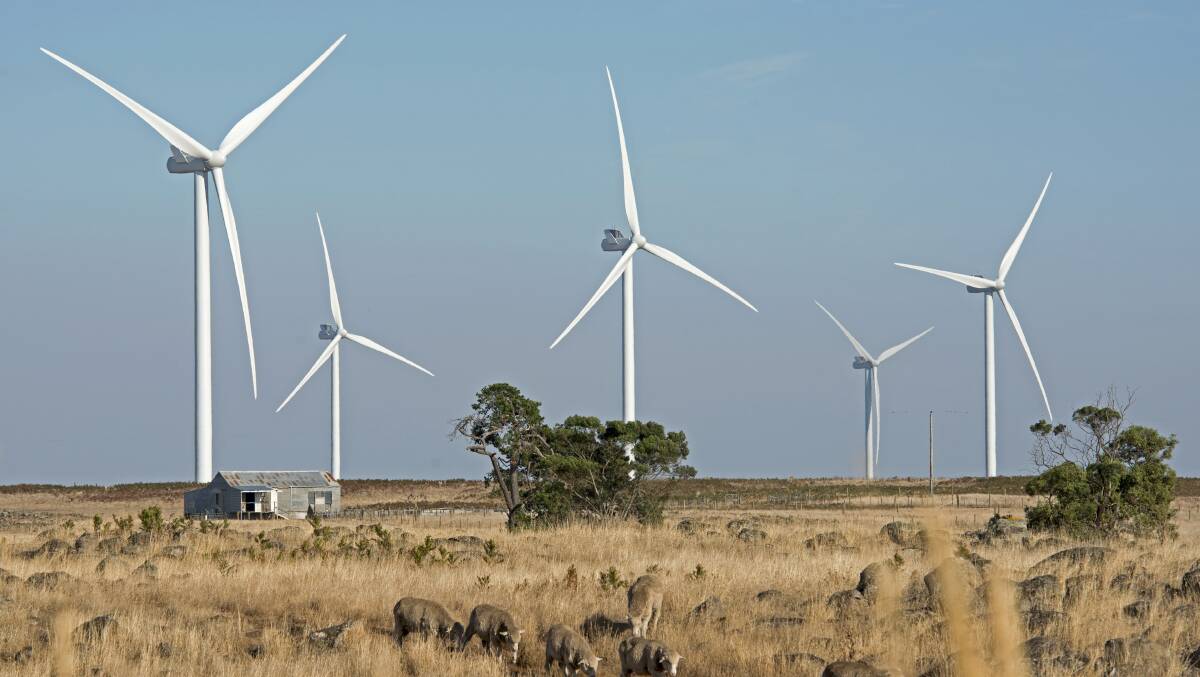Way of the future: A wind farm near Hamilton, Victoria. Photo: John Carnemolla, Shutterstock.