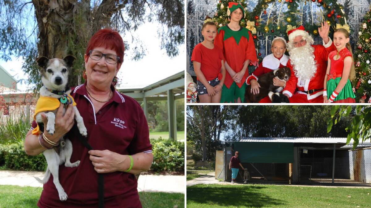 K9 Dog Rescue Group's Janine Matthews was excited to receive a cheque worth more than $12,000 from Mandurah's favourite Christmas house. Photos: Kaylee Meerton.