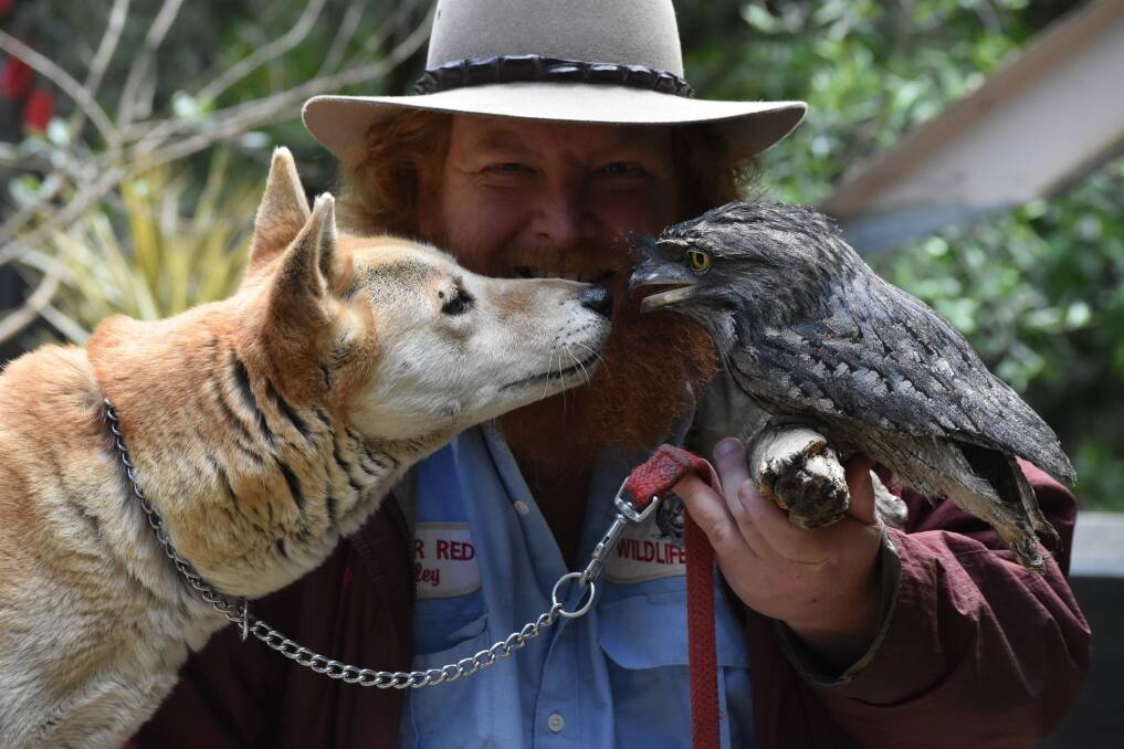 New Peel Zoo owner Ranger Red with his furry friends Cherokee and Frankie. Photo: Kaylee Meerton.