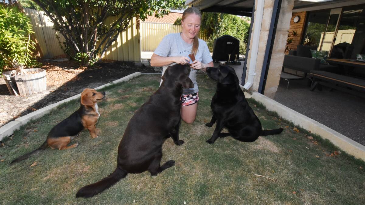 Halls Head resident Natalie Walker pictured with her three dogs. Photo: Justin Rake.