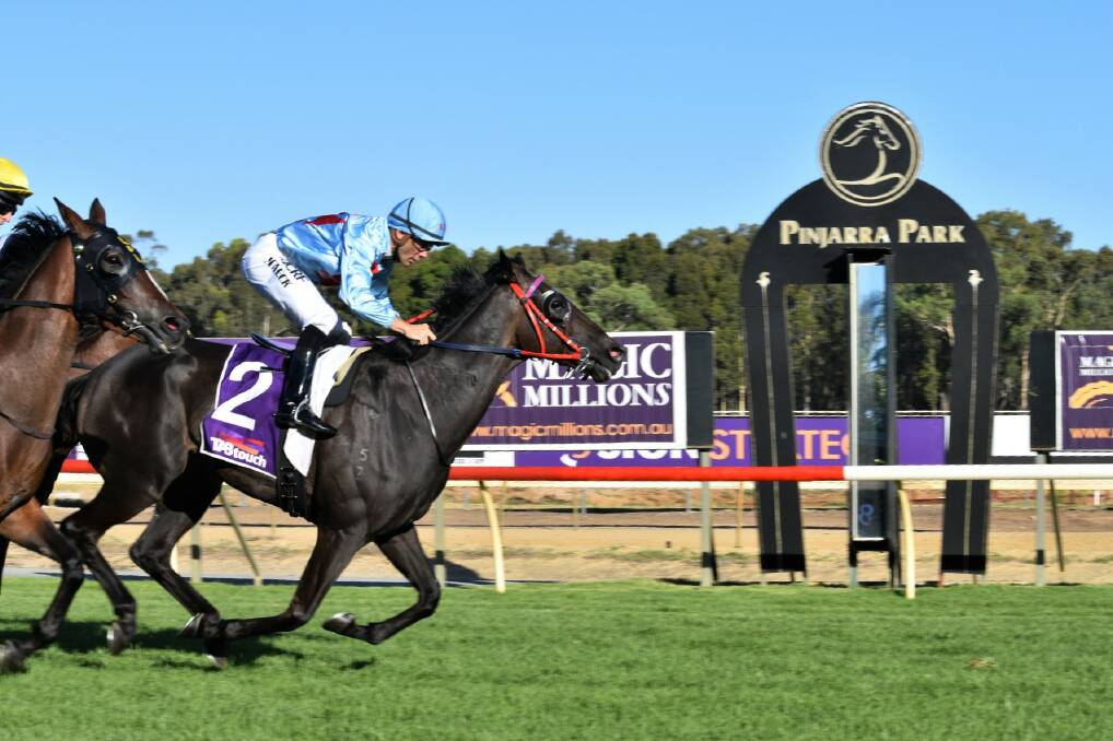 RACING RICHES: The upcoming Magic Millions race day at Pinjarra Park will feature more prize money than ever. Photo: File image.