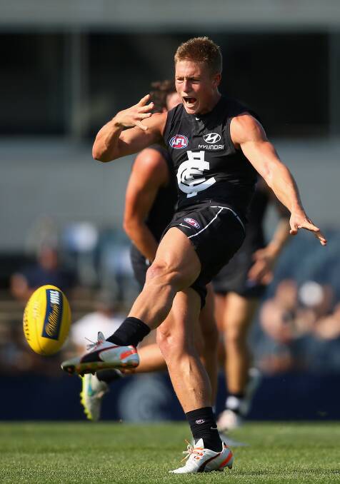 Walsh played three games at the top level for Carlton. Photo: File image.