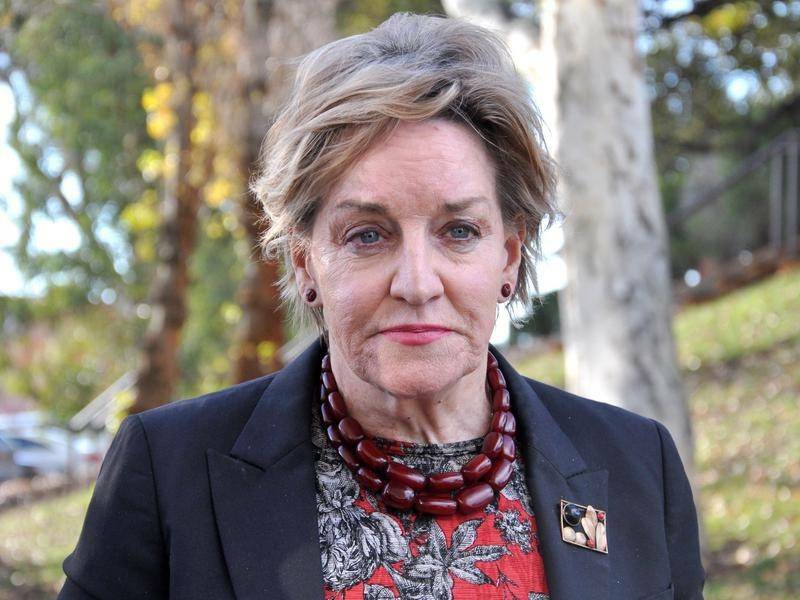 Regional development minister Alannah MacTiernan said the funding was a significant step forward. Photo: File image.