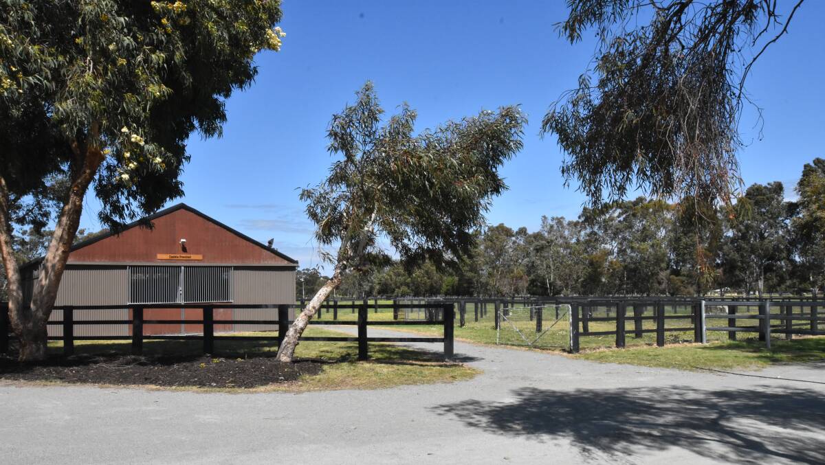 Retired racehorses will enjoy life at a slower pace in North Dandalup. Photo: Justin Rake.