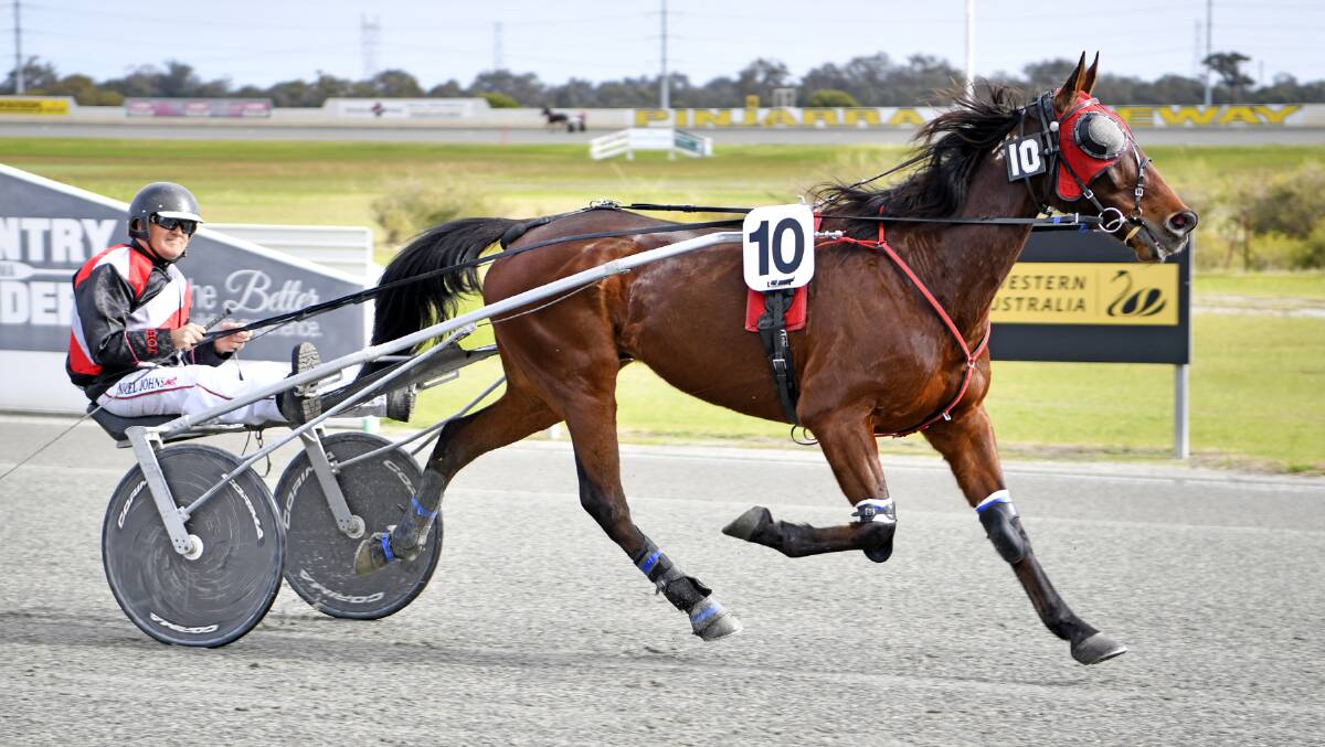 MILESTONE: Earl Harbour made history at Pinjarra Paceway on Monday, notching his 400th race start in a career that has spanned across 10 years. Photo: Jodie Hallows.