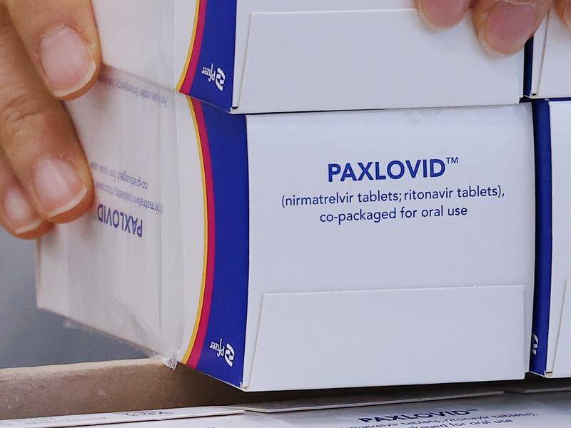 The UK health ministry says Pfizer's antiviral treatment Paxlovid will be available in February.