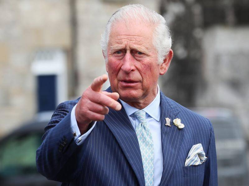 Prince Charles says there is a dangerously narrow window for slowing climate change.