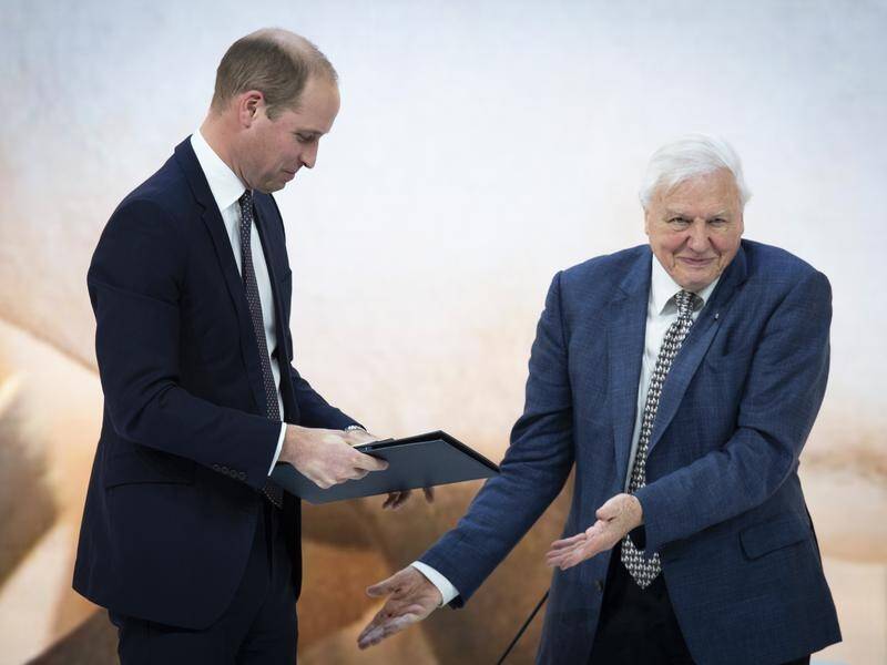 Prince William switched roles to interview David Attenborough at the World Economic Forum in Davos.