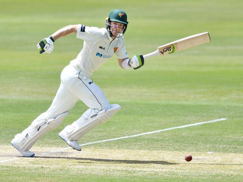 Tim Paine was unbeaten on 111 as Tasmania dominated against South Australia in the Sheffield Shield.