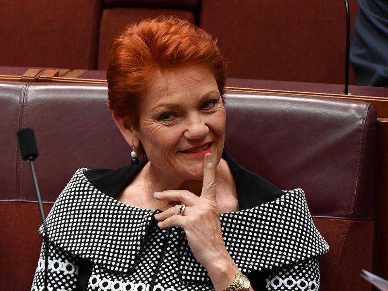 Senator Pauline Hanson said she couldn't support laws giving administrators 'unfettered powers'.
