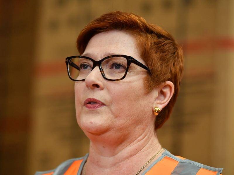 Several prominent Liberals are vying to replace Marise Payne in the Senate following her retirement. (Mick Tsikas/AAP PHOTOS)