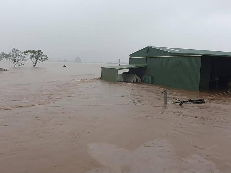 Paul Weir took this shot of flood waters raging through his diary farm in Lismore this week.