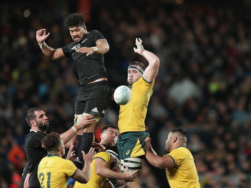 The All Blacks and the Wallabies will resume their Bledisloe Cup rivalry with two Tests in October.