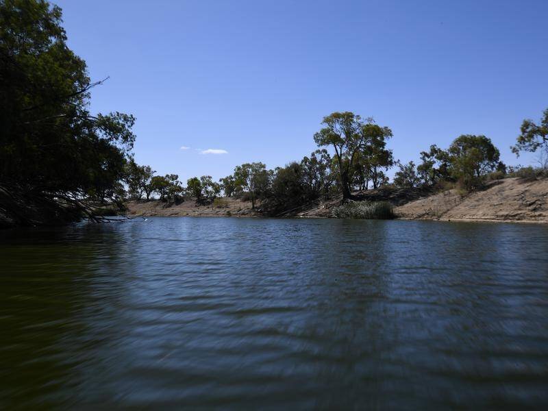 The value of water entitlements in the southern Murray-Darling Basin has hit $30 billion. (Dean Lewins/AAP PHOTOS)