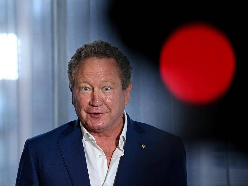 Fortescue Metals boss Andrew Forrest has launched criminal proceedings against Facebook.