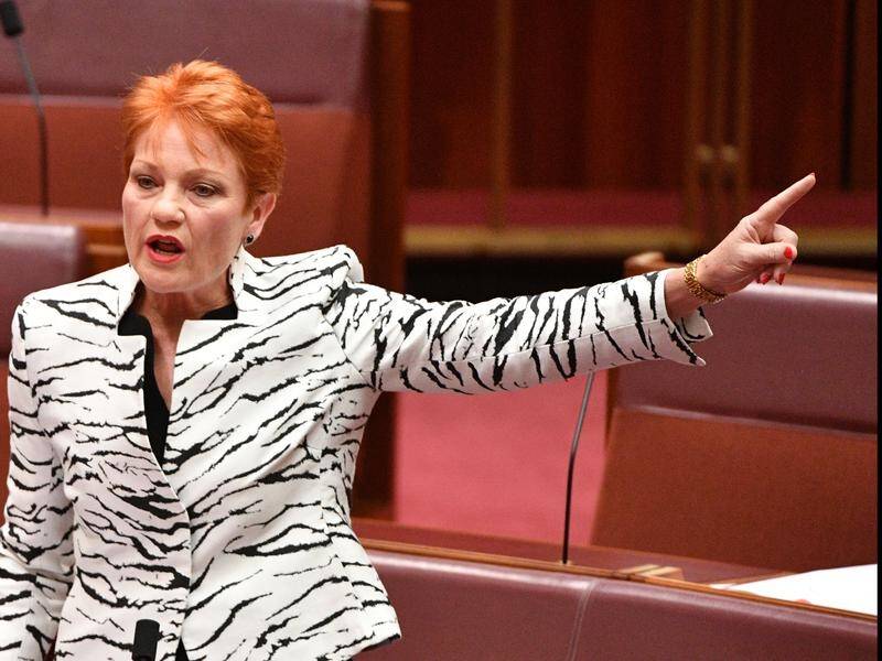 One Nation leader Senator Pauline Hanson has criticised former party member Senator Fraser Anning.