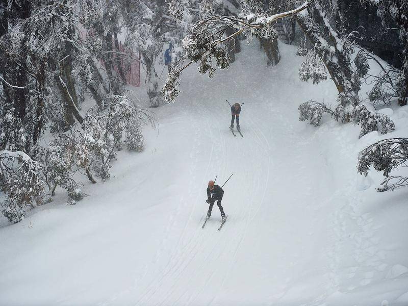 Strong winds have eased in Victoria's alpine region leaving the slopes safe for skiers.