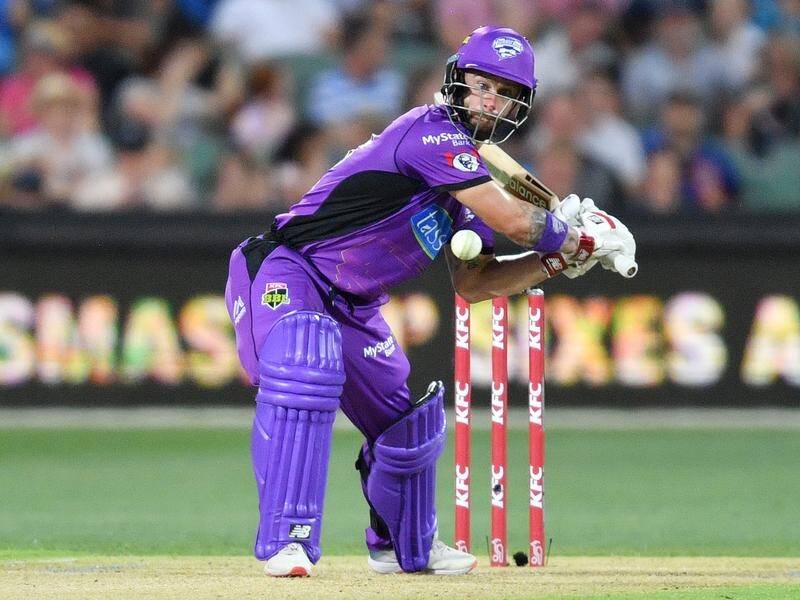 Matthew Wade has continued his blistering form with 84 not out in Hobart's big win over Adelaide.