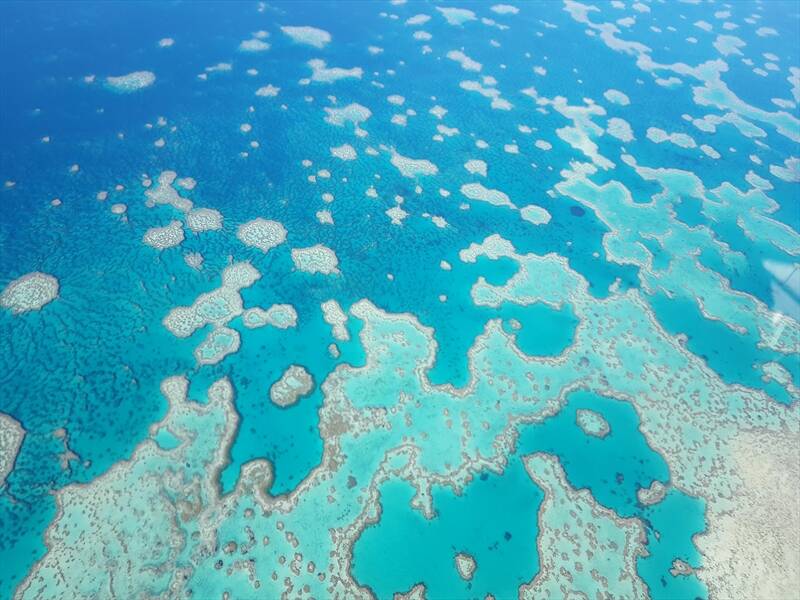 A possible El Nino weather system could spark coral bleaching on the Great Barrier Reef this summer.