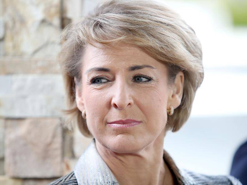 Senator Michaelia Cash says she will donate to a new Liberal fund to support women into parliament.
