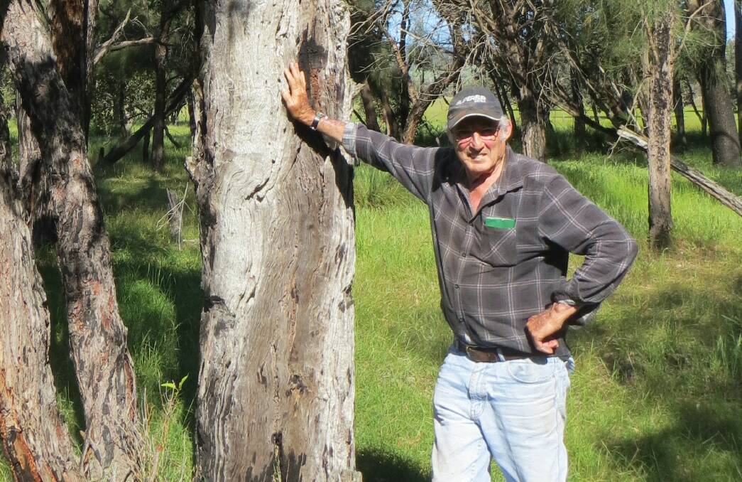 GREEN THUMB: The project helps farmers manage native vegetation to support long-term productivity and environmental values on their properties. Photo: Supplied