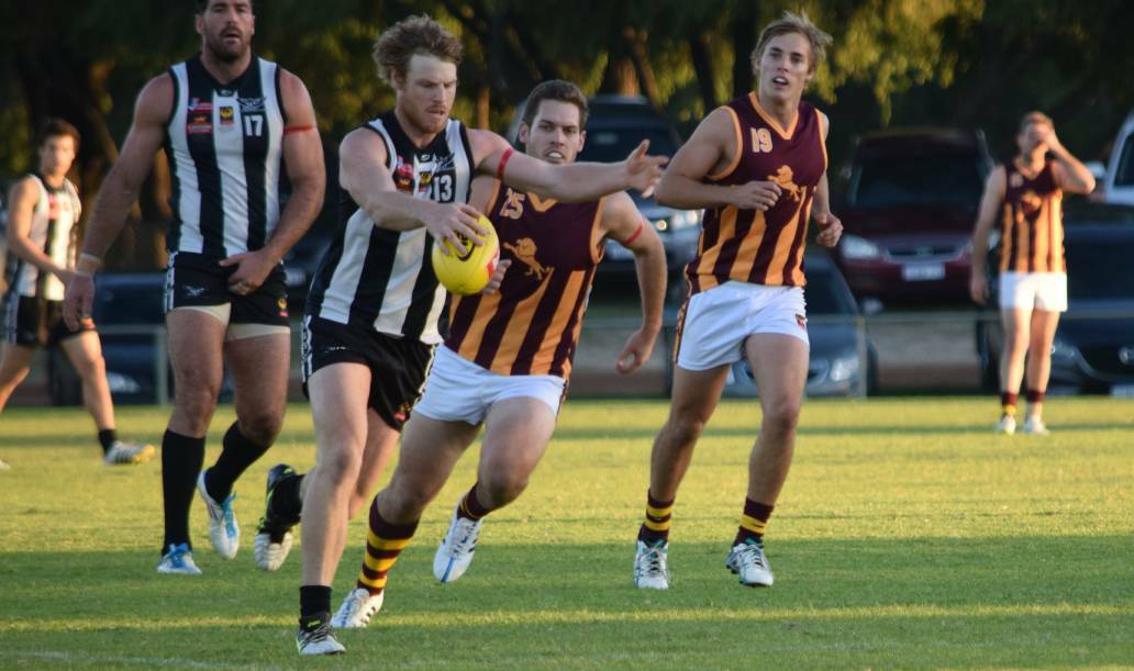 Busselton's Chris Kane is Footy HQ - WA's prediction to win the Hayward Medal. Photo: Emma Kirk. 

We predict his votes by round as: (1) - (2) - (3) - (4) - (5) 2 (6) - (7) 2 (8) 1 (9) 3 (10) 3 (11) - (12) - (13) 2 (14) 2 (15) 3 (16) 3 (17) 2 (18) -. Total: 23 votes. 