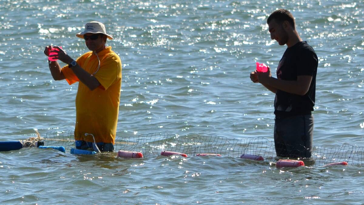 CROWDS flocked to the foreshore on Saturday for the annual Rotary Club Duck Race.