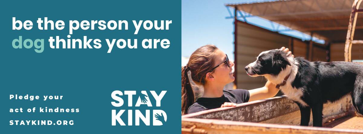 Australian Community Media is supporting Stay Kind and its Kind July initiative.