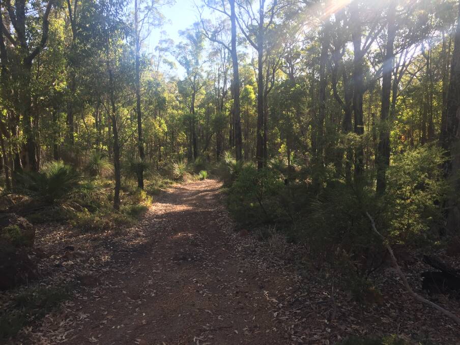 HIDDEN AWAY: The area near where Annette Deverell's remains were found in 1982 is hilly with dense jarrah forrest. 