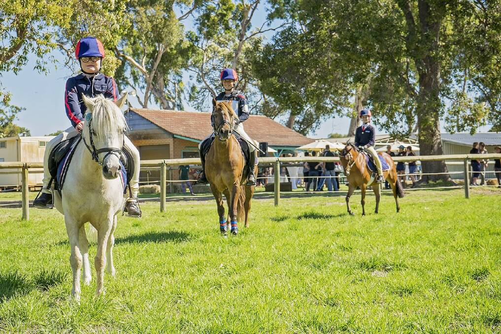 Not horsing around: Equine industry development is an important facet in ensuring Murray's prosperity, according to Cr. Bolt. Photo: supplied.
