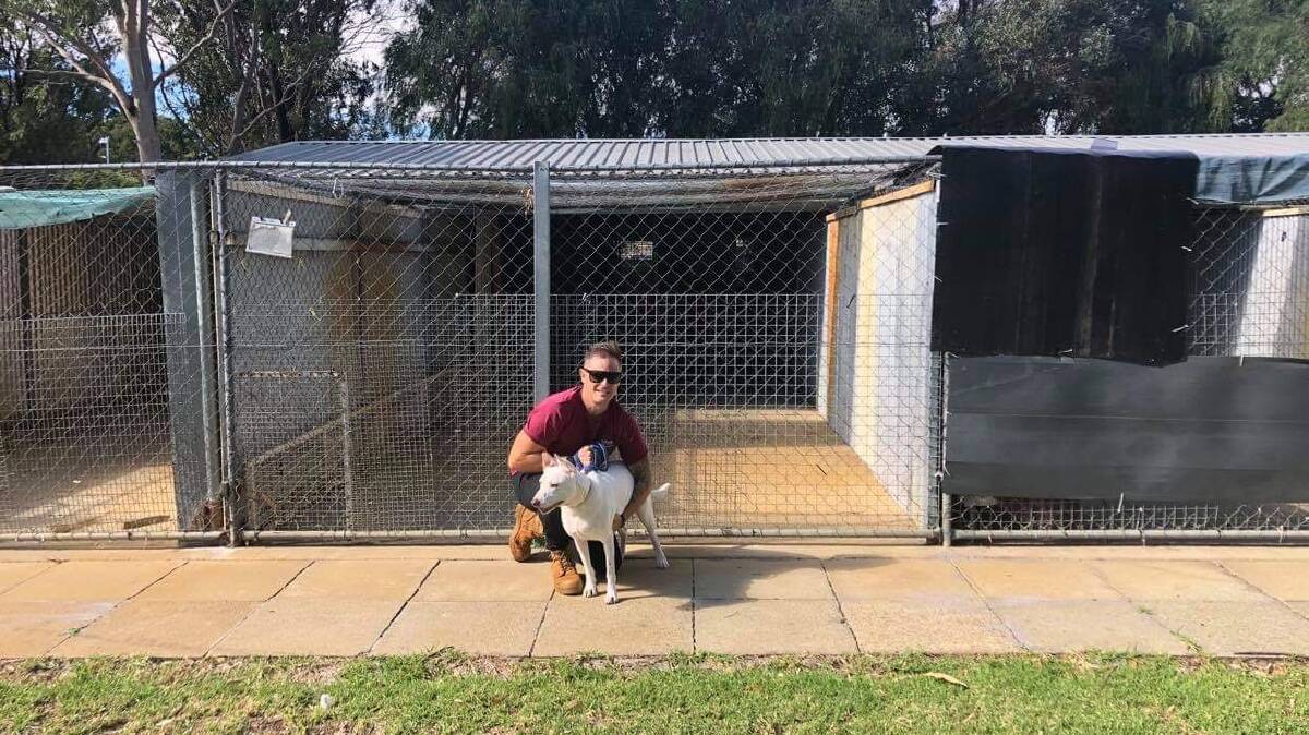 Not fit for dogs: K9's president Jake King with long-term resident, Khloe in front of the old kennel block which needs repairing. Photo: Supplied.