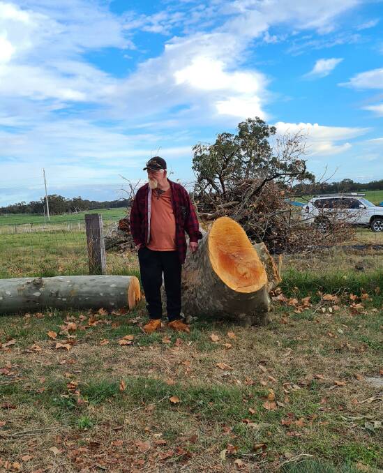 Destructive: Mr Basell with the tree that came down on their roof. Photo: Supplied.