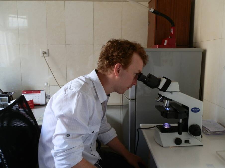 Cameron Wright looking at Mycobacterium tuberculosis under a microscope. 